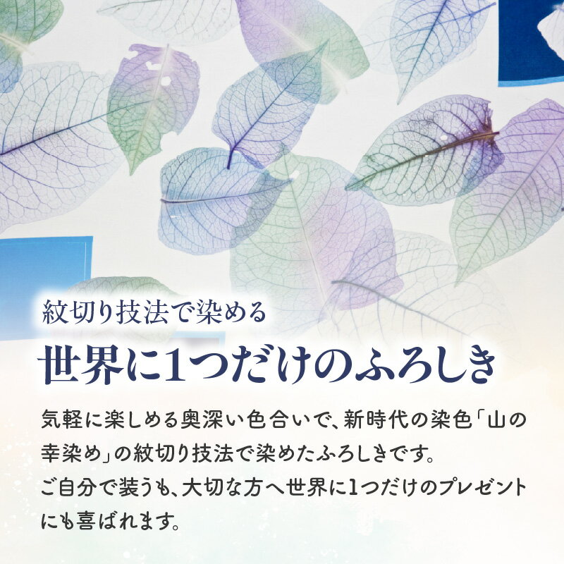 東京都新宿区の画像2