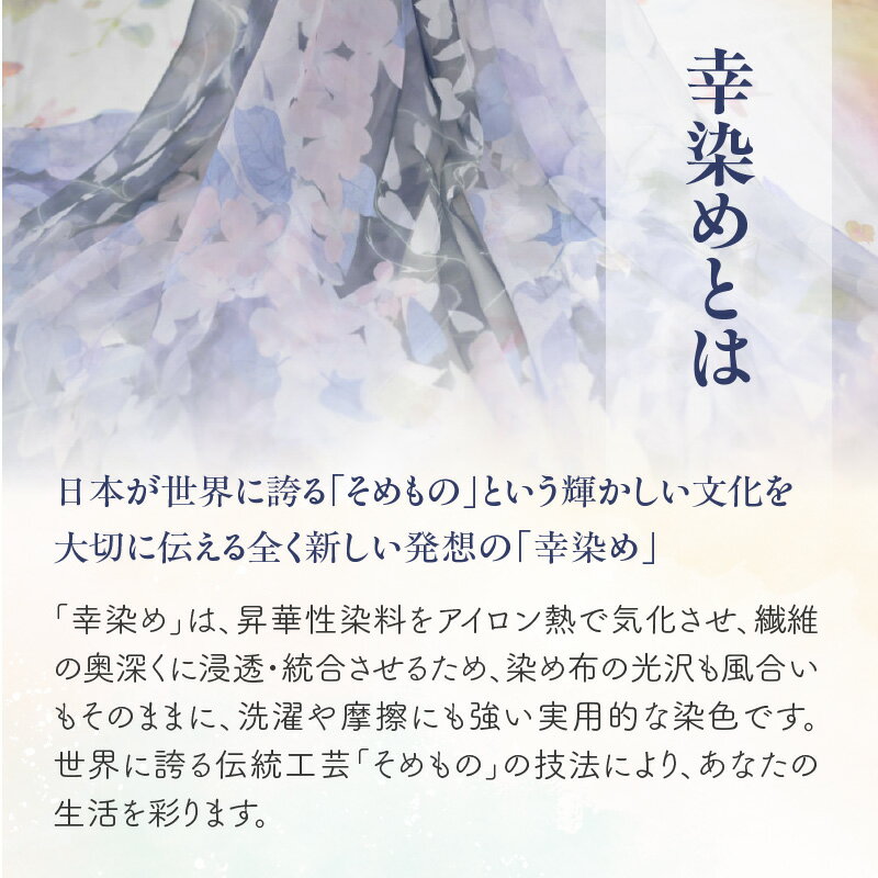 東京都新宿区の画像3