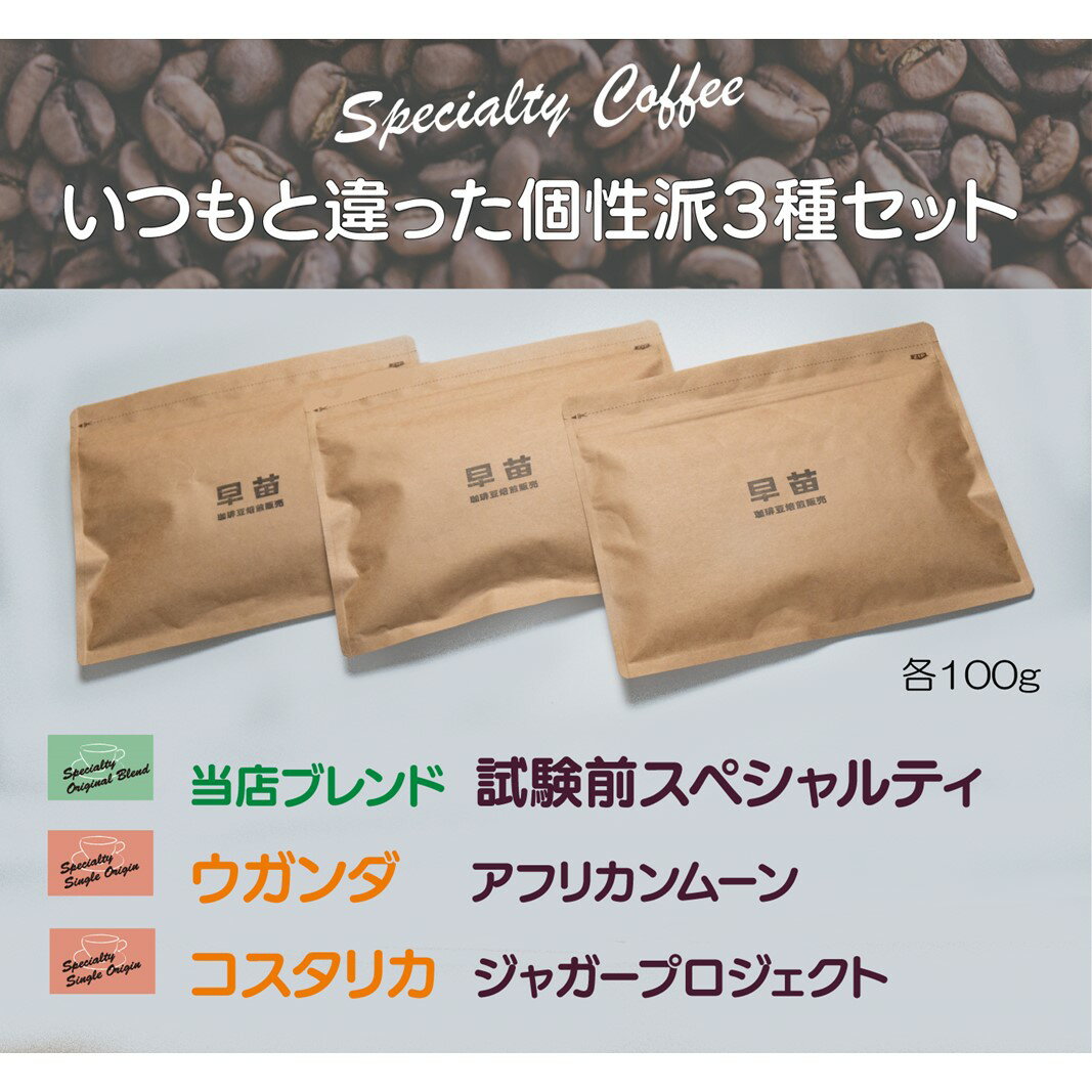 【早苗】焙煎珈琲豆（いつもと違った個性派セット 3種×各100g） スペシャルティコーヒー 珈琲 セット 3種 詰め合わせ 個性派 ジッパー チャック付き 100g 豆 粉 東京 新宿 0020-003-S05