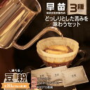 【ふるさと納税】【早苗】焙煎珈琲豆(どっしりとした苦みを味わうセット 3種×各100g) スペシャルティコーヒー 珈琲 セット 3種 しっかり焙煎 苦め コク深 ジッパー チャック付き 豆 粉 東京 新宿 0020-005-S05(4)