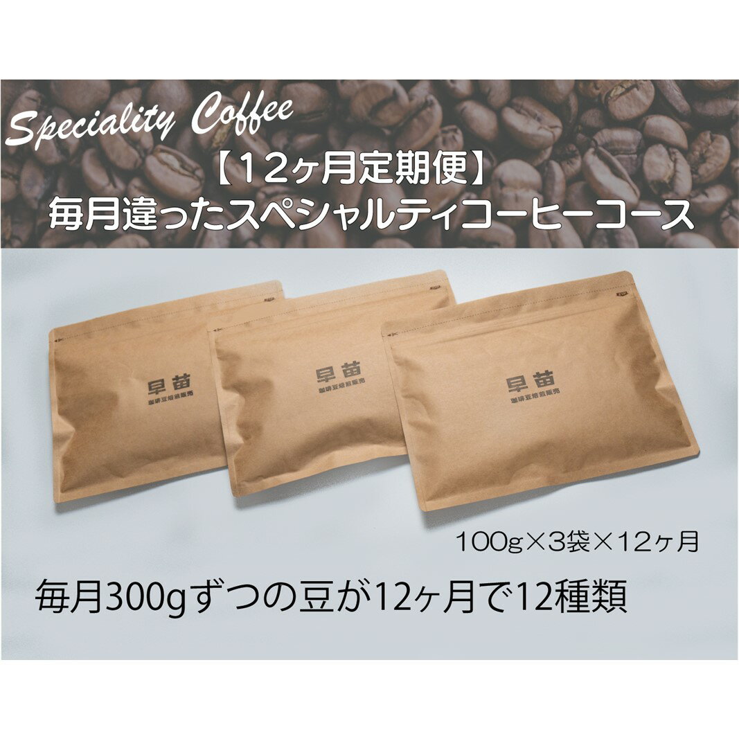 1位! 口コミ数「0件」評価「0」【早苗】焙煎珈琲豆（★12か月定期便★ 毎月違ったスペシャルティコーヒーコース　計12種） 粉 定期便 12回 1年 スペシャルティコーヒー･･･ 