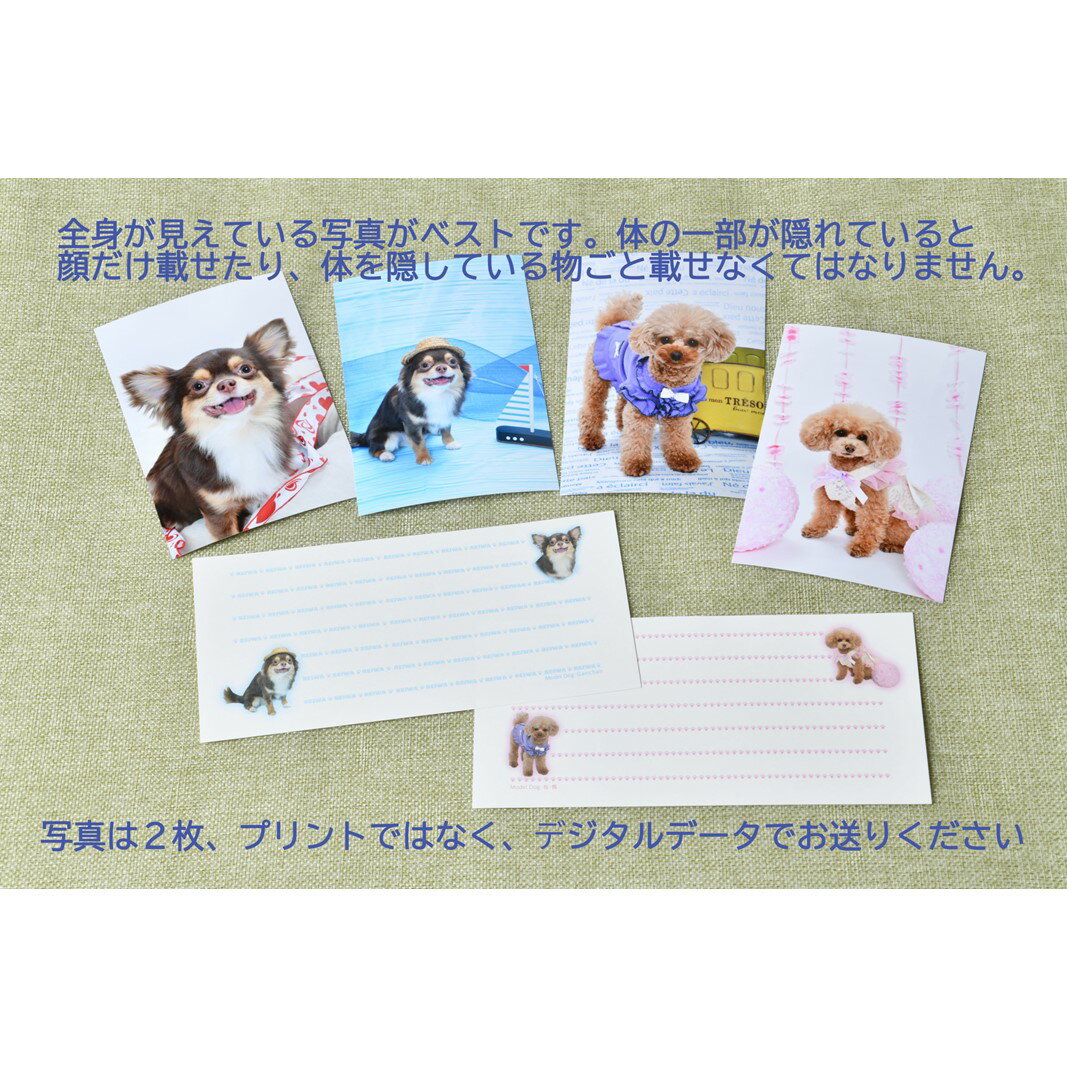 東京都新宿区の画像3