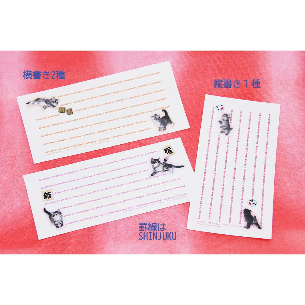 東京都新宿区の画像3