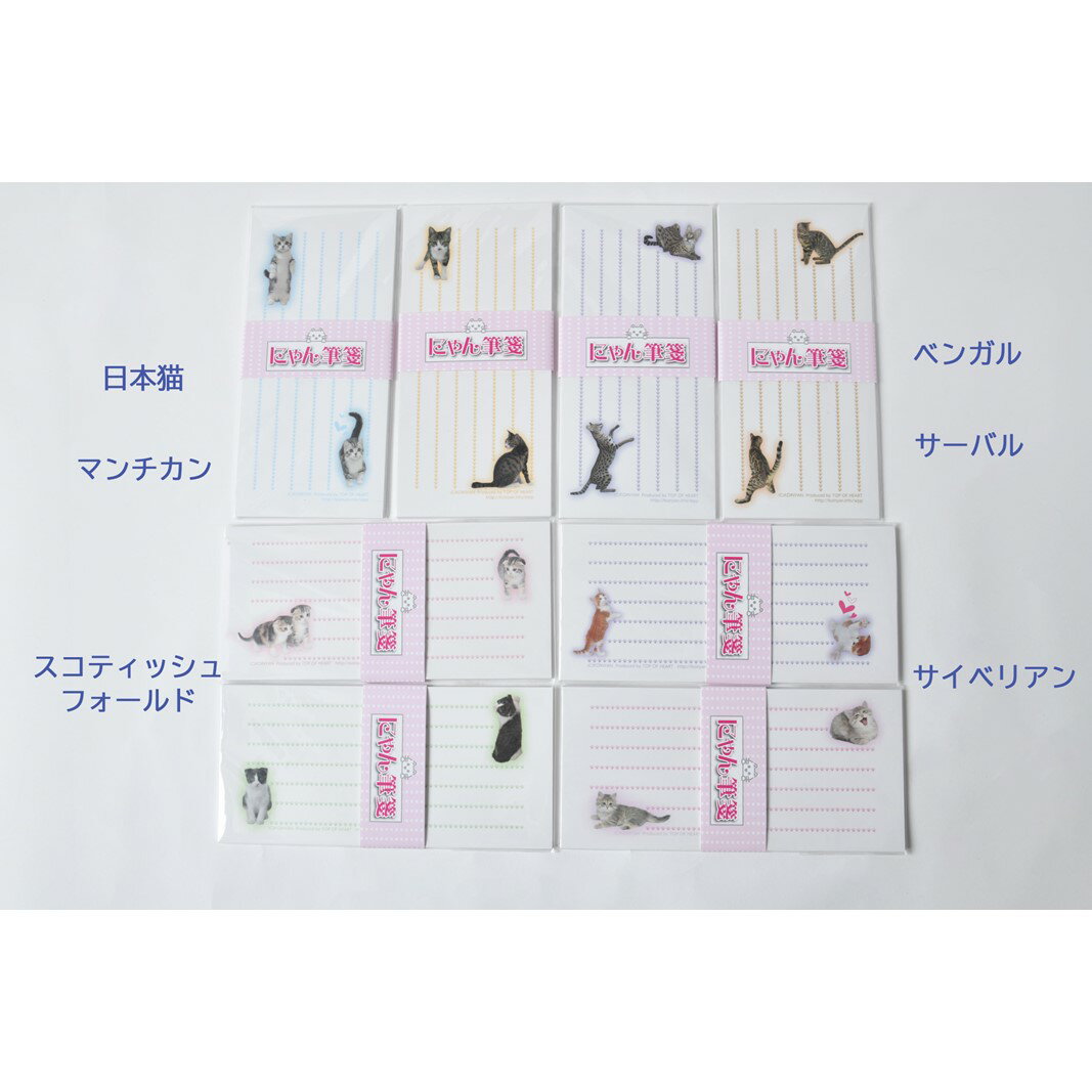 【ふるさと納税】猫写真の一筆箋「にゃん筆箋」猫種いろいろ肉球キャット8種セット 一筆箋 文房具 筆箋 写真 猫 ねこ ネコ 肉球 にゃんこ 動物 アニマル 可愛...
