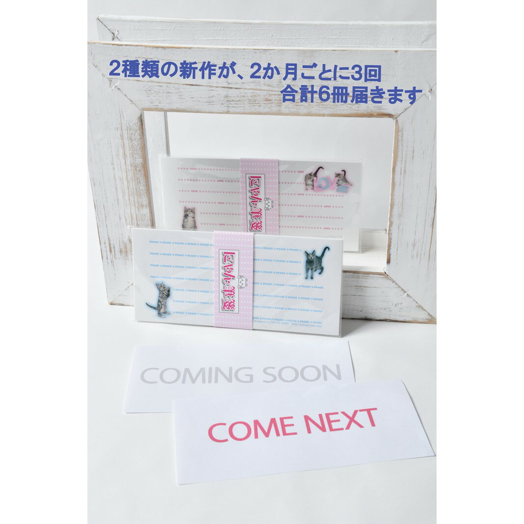 【ふるさと納税】猫写真の一筆箋「にゃん筆箋」隔月ごとに新作2種類が3回届くセット 定期便 3回 隔月 一筆箋 文房具 写真 猫 ねこ ネコ 筆箋 にゃんこ アニ...