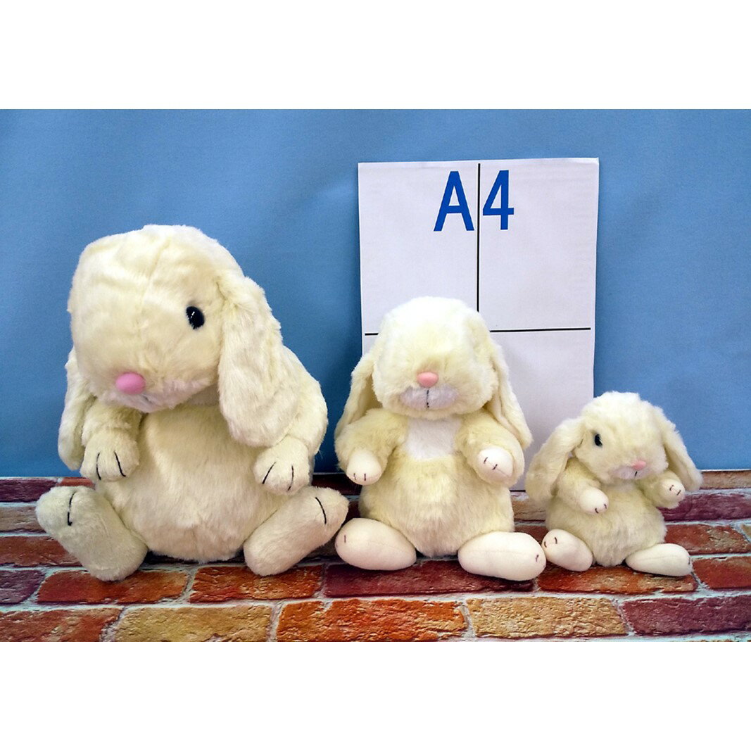 東京都新宿区の画像3