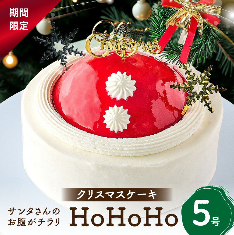 【ふるさと納税】クリスマスケーキ サンタさんのお腹がチラリ！HoHoHo 5号 サンタ 新宿区 クリスマスケーキ ピスタチオ フランボワーズ ムース ケーキ デザイン オーナメント クリスマス 期間限定 冷凍 0105-010-S07