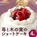 【ふるさと納税】苺と木の実のショートケーキ4号 ホールケーキ ケーキ スイーツ デザート 冷凍 誕生日ケーキ パーティー 誕生日 記念日 ストロベリー イチゴ いちご 洋菓子 生洋菓子 フルーツ 果物 お菓子 おやつ 0105-004-S06