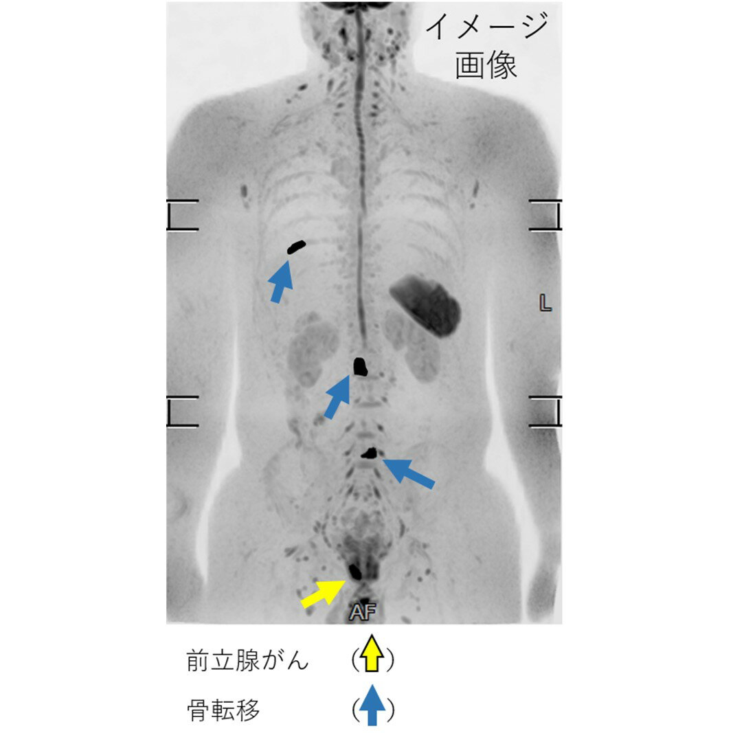 東京都新宿区の画像2