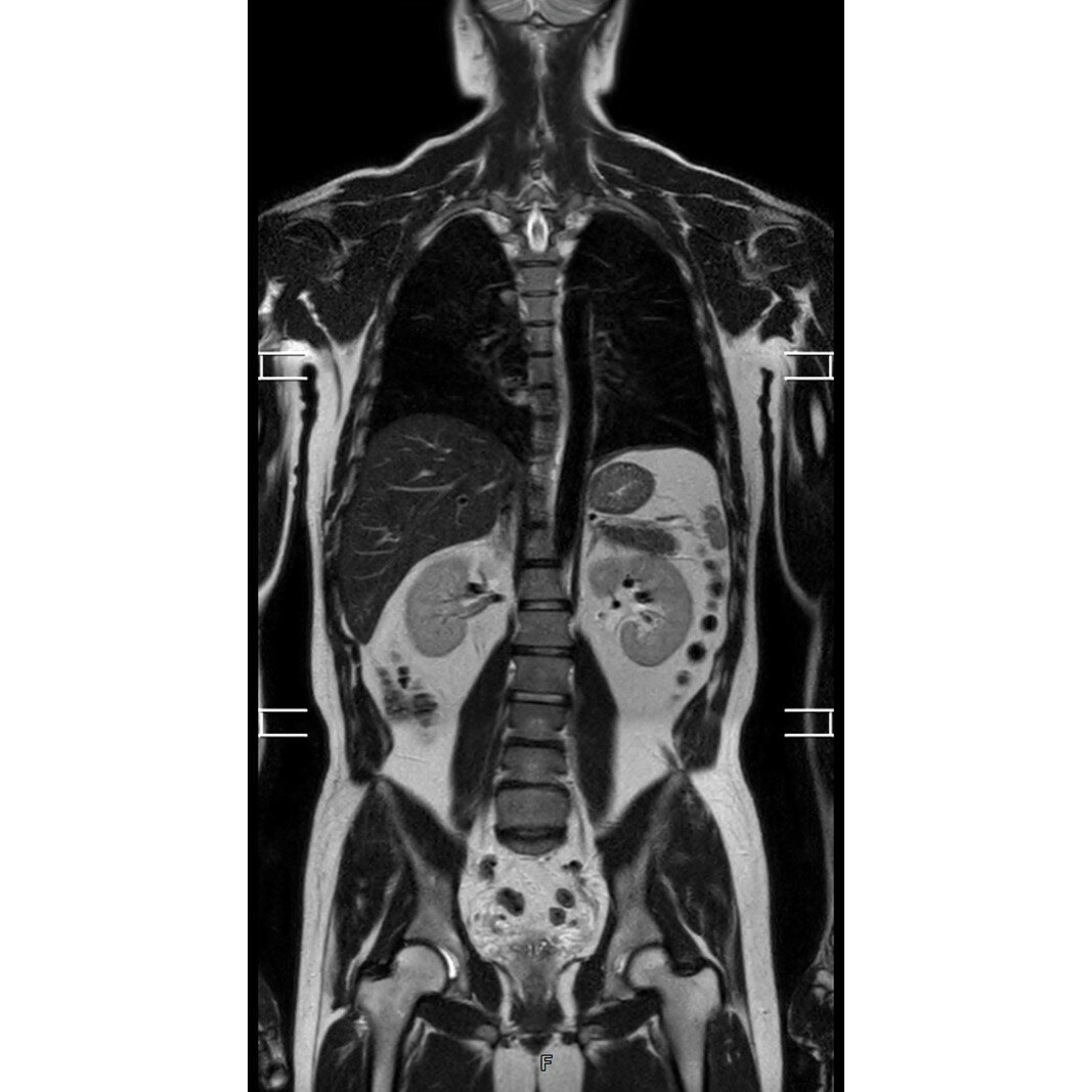 東京都新宿区の画像3