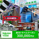 【ふるさと納税】東京都新宿区の対象施設で使える楽天トラベルクーポン 寄附額1,000,000円 関東 東京 予約 旅行 ペア 宿泊 ホテル クーポン チケット ...