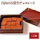 【ふるさと納税】生チョコ 白山の石畳 生チョコレート 12個 セット ル・ボン・ヴィヴァン チョコ チョコレート スイーツ デザート おやつ お菓子 菓子 洋菓子 東京 東京都 食品・飲料