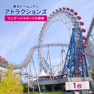 【ふるさと納税】チケット 東京ドームシティ お得な乗り放題パス ワンデーパスポート 引換券 1名様分 アトラクションズ 遊園地 お出かけ 観光 レジャー 東京 東京都 宿泊・体験