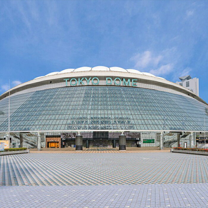 【ふるさと納税】東京都文京区の対象施設で使える 楽天トラベルクーポン 寄附額150,000円(45,000円クーポン) 関東 東京 宿泊 宿泊券 ホテル 旅館 旅行 旅行券 観光 トラベル チケット 旅 宿 券