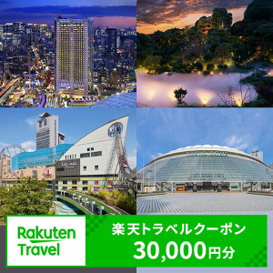 【ふるさと納税】 東京都文京区の対象施設で使える 楽天トラベルクーポン 寄附額100,000円(30,000円クーポン) 関東 東京 宿泊 宿泊券 ホテル 旅館 旅行 旅行券 観光 トラベル チケット 旅 宿 券
