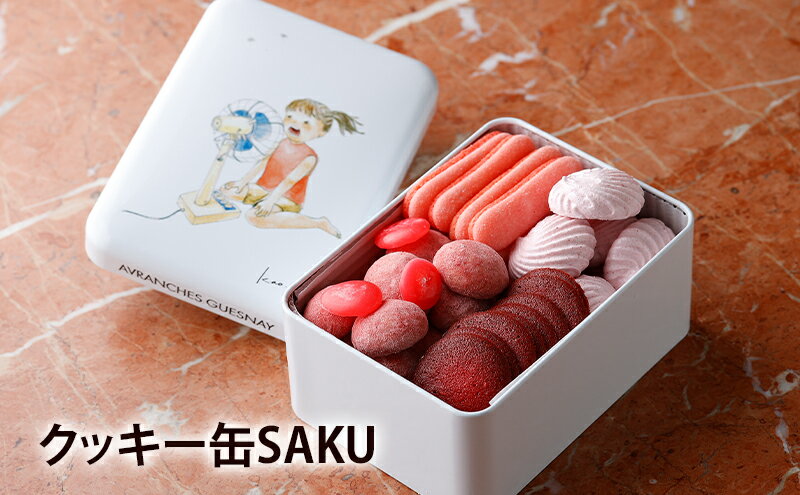 東京都文京区の画像2