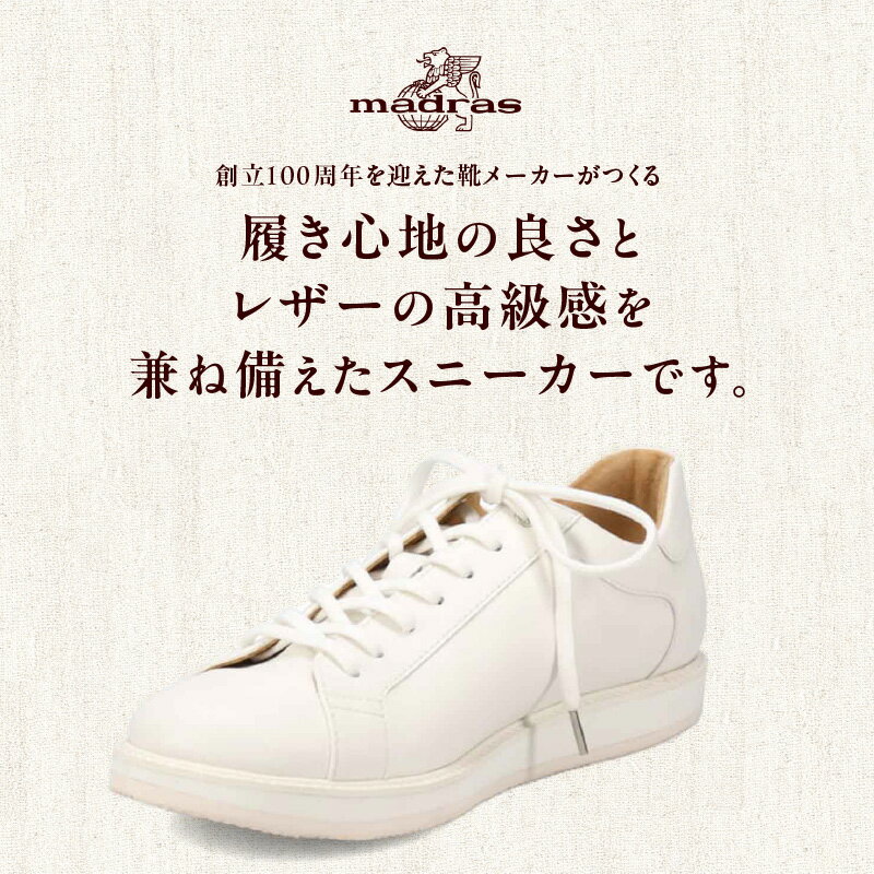 東京都台東区の画像2