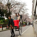 【ふるさと納税】えびす屋人力車　浅草下町巡り30分コースチケット 観光 旅行 おでかけ 案内 ギフト 体験 1