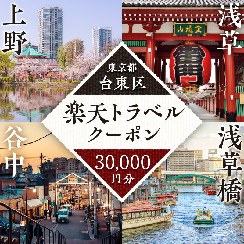 【ふるさと納税】東京都台東区の対象施設で使える楽天トラベルクーポン 寄附額100,000円 関東 東京 予約 旅行 ペア 宿泊 ホテル クーポン チケット 宿泊券 旅行クーポン ビジネス 出張 観光