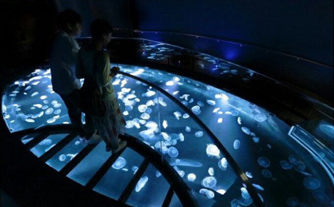 �ڤդ뤵��Ǽ�ǡۥ����å� ��� ���ߤ���²�� ǯ�֥ѥ��ݡ��Ȱ����� ���1̾ �Ҷ�1̾ ����� ͥ�Է� ǯ�ѥ� ι�� SKYTREE