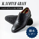 スコッチグレイン 紳士靴 「シャインオアレインIII」 NO.2726 メンズ 靴 シューズ ビジネス ビジネスシューズ 仕事用 ファッション パーティー フォーマル　