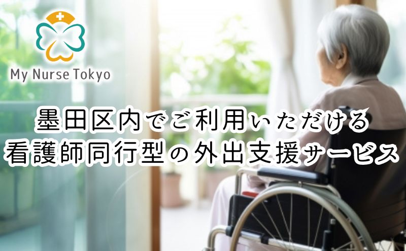 【ふるさと納税】看護師同行 外出支援サービス 2時間コース 介護旅行 医療従事者 看護師 チケット 2