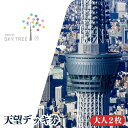 【ふるさと納税】【有効期限：2024年12月31日】東京 スカイツリー 展望台 入場引換券 天望デッキ券 大人 2枚 有効期間 6ヶ月 （2024.7.1～2024.12.31） TOKYO SKYTREE 墨田区　【チケット・入場券・優待券・体験チケット】　お届け：2024年6月25日～6月30日まで