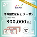 【ふるさと納税】東京都墨田区 日本旅行 地域限定旅行クーポン300,000円分