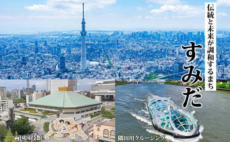 【ふるさと納税】【東京ツアー】墨田区 旅行クーポン 後から選べる旅行Webカタログで使える！旅行クーポン（300,000円分）粋をめぐる、すみだ旅！ 旅行券 宿泊券 飲食券 体験サービス券 3