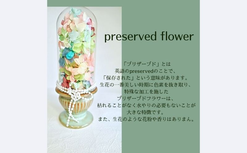 東京都墨田区の画像3