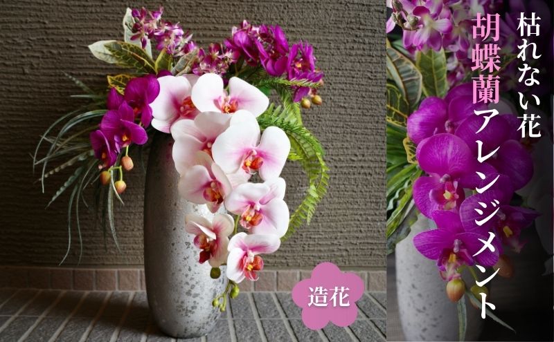 東京都墨田区の画像2