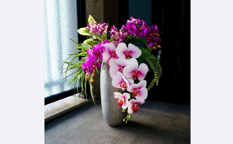 東京都墨田区の画像3