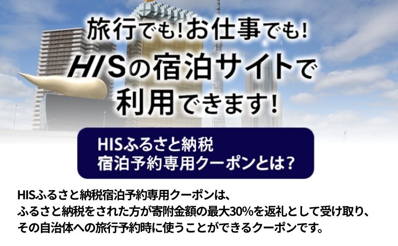【ふるさと納税】HISふるさと納税宿泊予約専用...の紹介画像3