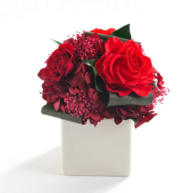 東京都墨田区の画像3