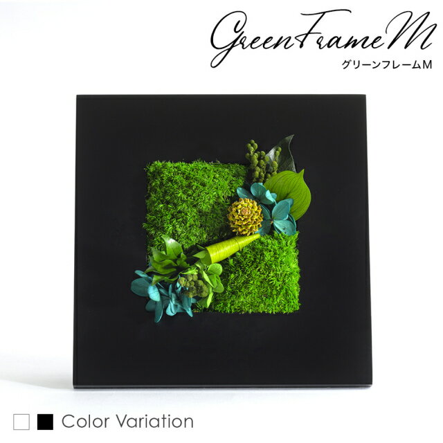 【ふるさと納税】グリーンフレームM 花 お花 プリザーブドフラワー ギフト プレゼント お祝い 誕生日 お供え アレンジ インテリア 東京都 墨田区