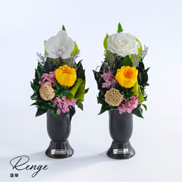 �ڤդ뤵��Ǽ�ǡ�ϡ�� (���) �� ���� �ץꥶ���֥ɥե� ���ե� �ץ쥼��� ���ˤ� ������ ������ ����� ����ƥꥢ ����� ���Ķ�