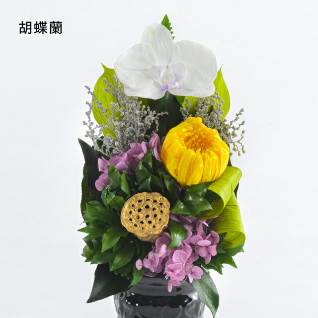 東京都墨田区の画像3