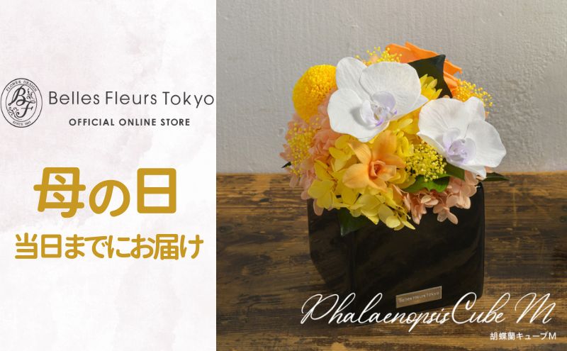 �ڤդ뤵��Ǽ�ǡ۸�ĳ�����塼��M �� ���� �ץꥶ���֥ɥե� ���ե� �ץ쥼��� ���ˤ� ������ ������ ����� ����ƥꥢ ����� ���Ķ�