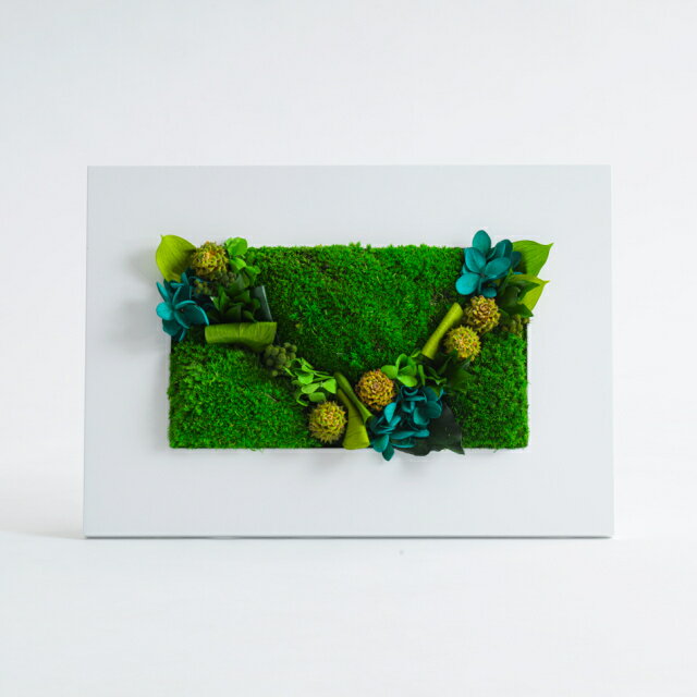 �ڤդ뤵��Ǽ�ǡۥ��꡼��ե졼��L �� ���� �ץꥶ���֥ɥե� ���ե� �ץ쥼��� ���ˤ� ������ ������ ����� ����ƥꥢ ����� ���Ķ�