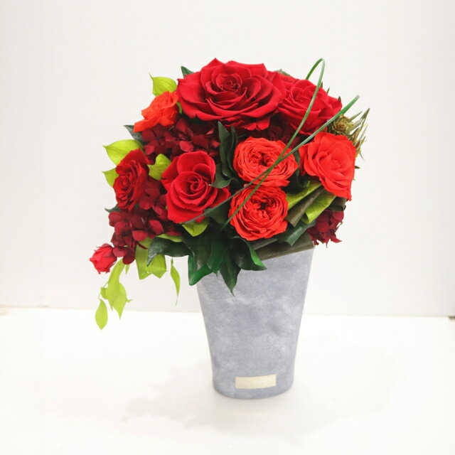 �ڤդ뤵��Ǽ�ǡۥ������ȡ��� �� ���� �ץꥶ���֥ɥե� ���ե� �ץ쥼��� ���ˤ� ������ ������ ����� ����ƥꥢ ����� ���Ķ�