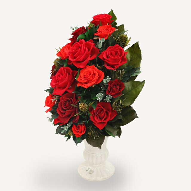 �ڤդ뤵��Ǽ�ǡۥ�ߥʥ� �� ���� �ץꥶ���֥ɥե� ���ե� �ץ쥼��� ���ˤ� ������ ������ ����� ����ƥꥢ ����� ���Ķ�