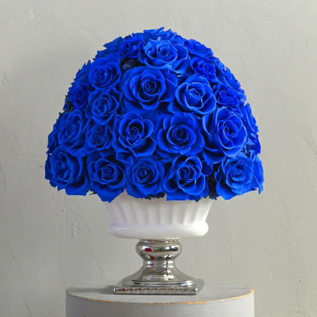 �ڤդ뤵��Ǽ�ǡۥ���ॾ�� �� ���� �ץꥶ���֥ɥե� ���ե� �ץ쥼��� ���ˤ� ������ ������ ����� ����ƥꥢ ����� ���Ķ�