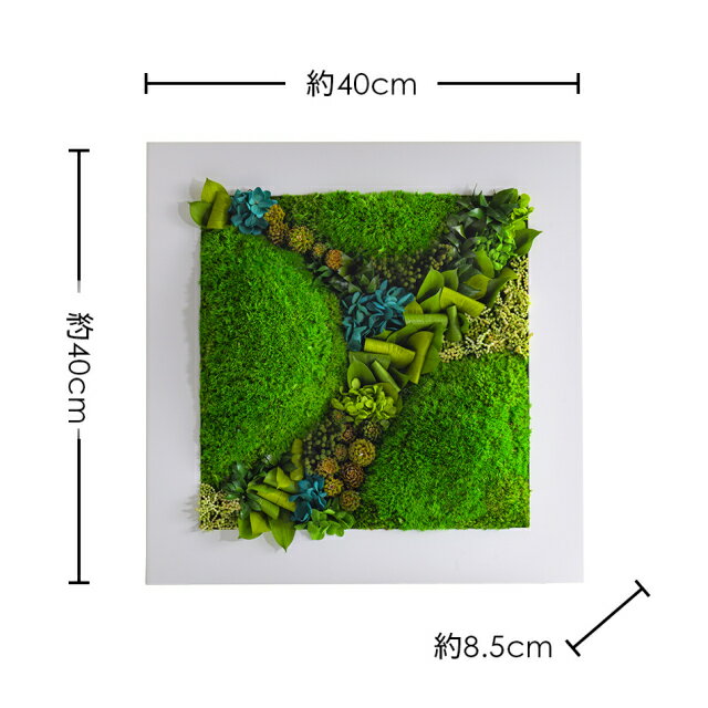 �ڤդ뤵��Ǽ�ǡۥ��꡼��ե졼��2L �� ���� �ץꥶ���֥ɥե� ���ե� �ץ쥼��� ���ˤ� ������ ������ ����� ����ƥꥢ ����� ���Ķ�