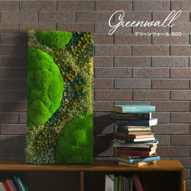 【ふるさと納税】グリーンウォール800 花 お花 プリザーブドフラワー ギフト プレゼント お祝い 誕生日 お供え アレンジ インテリア 東京都 墨田区