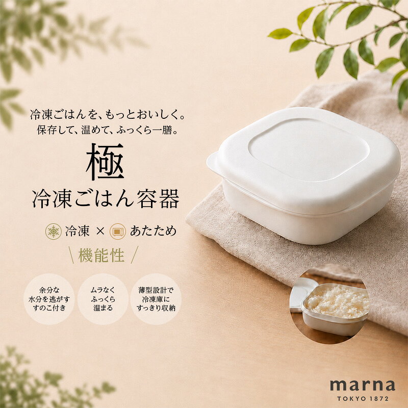 極 冷凍ごはん容器 容器 ご飯 冷凍 小分け 保存容器