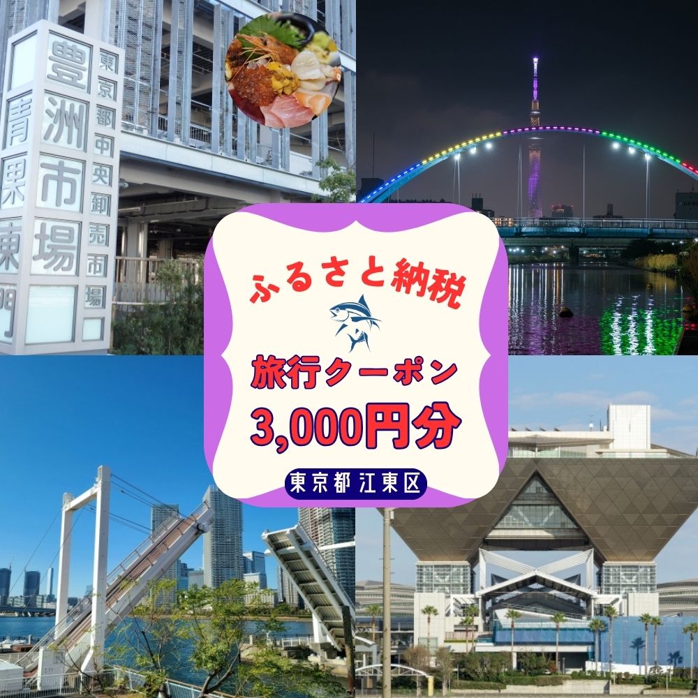 江東区に泊まるふるさと納税旅行クーポン 3,000円分 東京都 江東区 旅行 クーポン 割引券 ツアー 飛行機 ホテル 宿泊 日本航空 スカイマーク ピーチ 送料無料