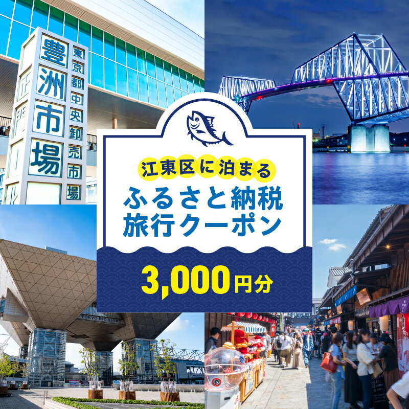 江東区に泊まるふるさと納税旅行クーポン 3,000円分 東京都 江東区 旅行 クーポン 割引券 ツアー 飛行機 ホテル 宿泊 日本航空 スカイマーク ピーチ 送料無料
