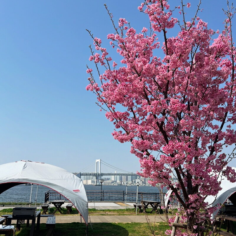 【ふるさと納税】 BBQ場施設使用券(電子クーポン券3,000円分) 東京都 江東区 チケット BBQ 施設使用券 おでかけ 旅行 豊洲ぐるり公園 手ぶら BBQ場 バーベキュー 利用券 電子クーポン 送料無料