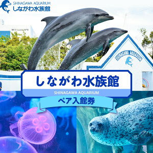 【ふるさと納税】しながわ水族館 ペア入館券 / 水族館 観光 旅行 トラベル しな水 アクアリウム ペアチケット トンネル水槽 大人 2名 家族 ファミリー カップル デート 夫婦 体験 チケット プレゼント ギフト 東京湾 東京都 品川区