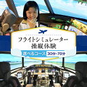 【ふるさと納税】フライト シミュレーター 操縦 体験 コースが選べる 30分 70分/ 飛行機 パイロット コックピット 本格的 ボーイング 777 チケット 東京都 品川区